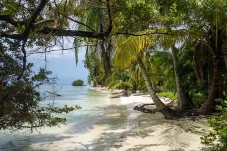 beach, san blas islands, panama-4388225.jpg